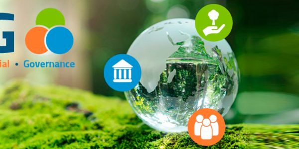 Fibox 集团荣获 EcoVadis 铜牌，ESG 进程迈出重要一步